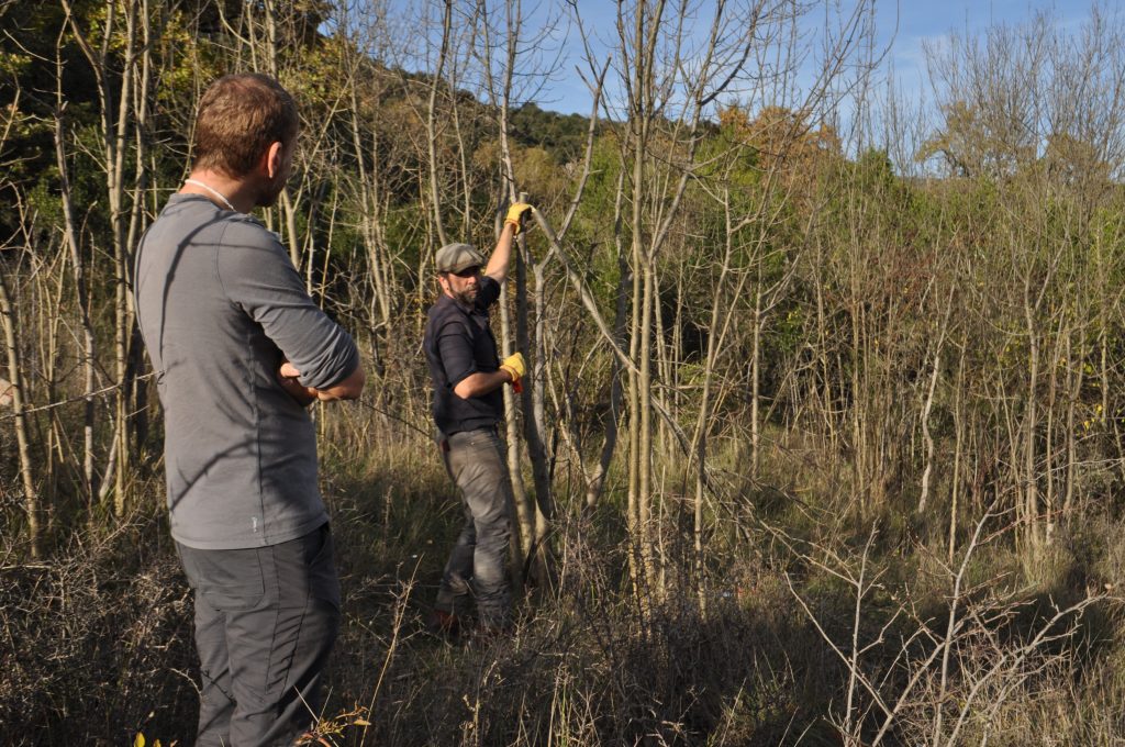 Pilot formation in France November 2020