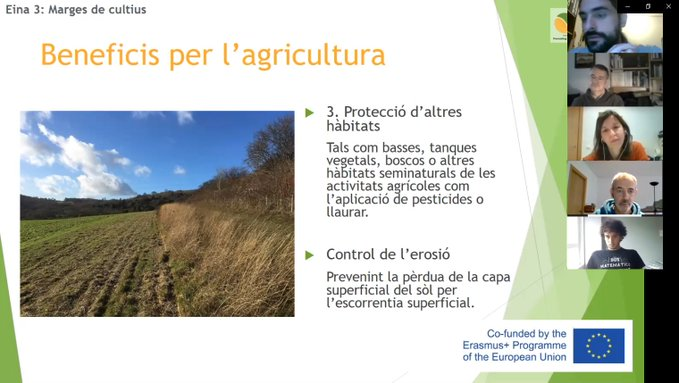 Pilot formation in Catalonia November 2020