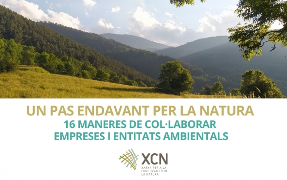 Un pas endavant per la natura :16 maneres de col·laboar empreses i entitats ambientals