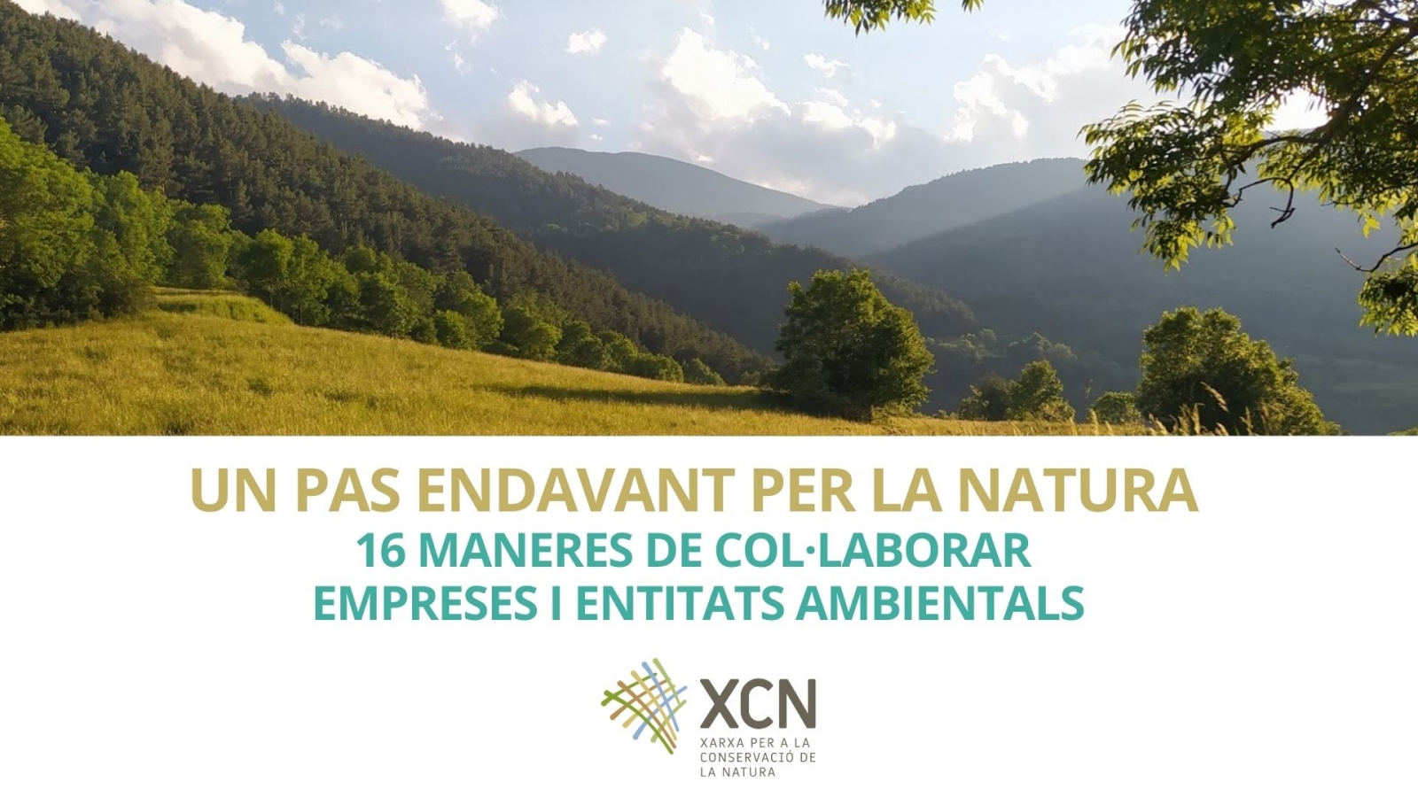 16 maneres de collaborar empreses i entitats ambientals