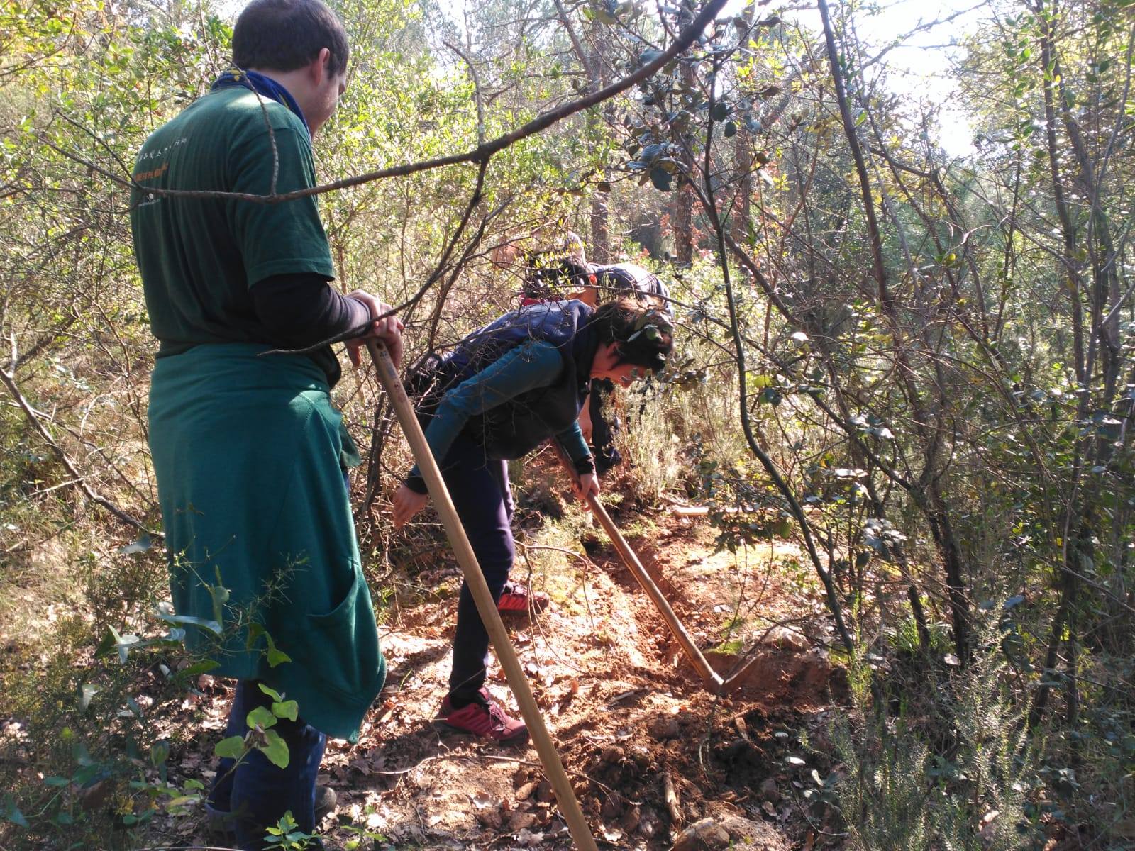 C30_Natus_voluntariat